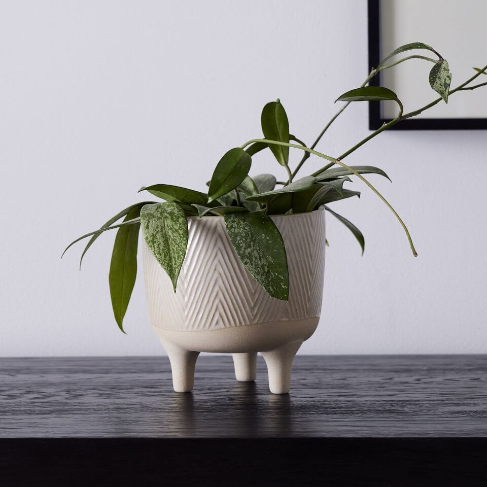 Homespun Tabletop Planter West Elm Australia